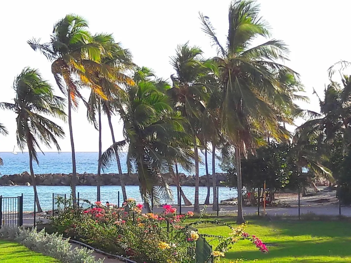 Studio Bleu Caraibe Apartment Le Gosier  0*, Le Gosier (Grande-Terre)