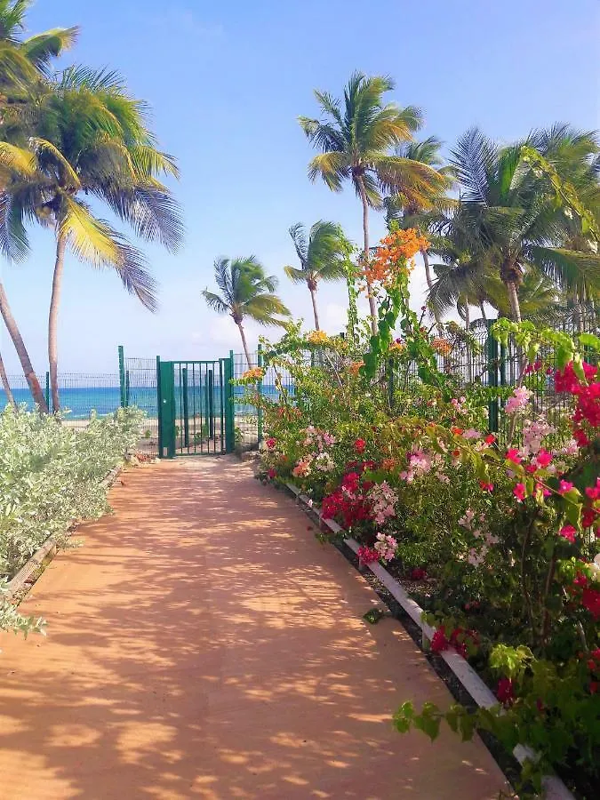 Studio Bleu Caraibe Apartment Le Gosier  Le Gosier (Grande-Terre)